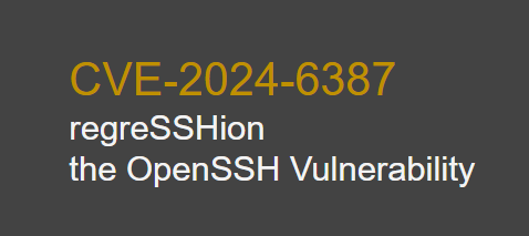 regreSSHion (CVE-2024-6387) の脆弱性で見る FutureVuls での脆弱性管理